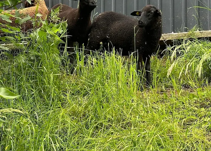 בית נופש Messners *